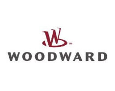 Woodward 8256-022